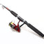 Telescopic Rod