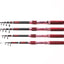 Telescopic Rod